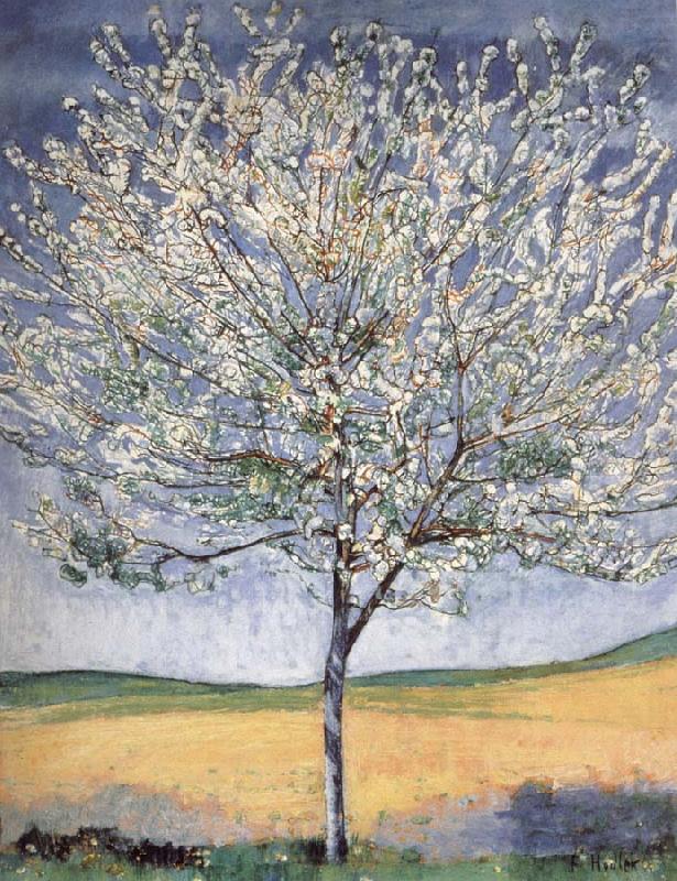 Ferdinand Hodler Cherry tree in bloom